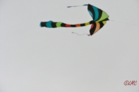 Fanoe_2013_192