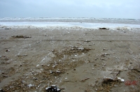 Fanoe_2013_196