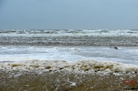 Fanoe_2013_197