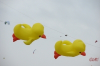 Fanoe_2013_202