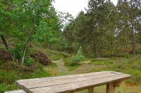 Fanoe_2013_204