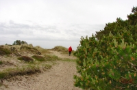 Fanoe_2013_205