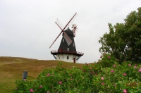 Fanoe_2013_213
