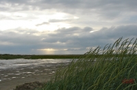 Fanoe_2013_220