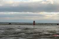 Fanoe_2013_221