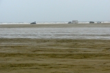 Fanoe_2013_190