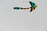 Fanoe_2013_192