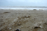 Fanoe_2013_196