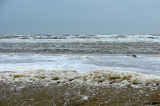 Fanoe_2013_197