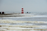 Fanoe_2013_199