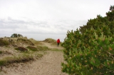 Fanoe_2013_205