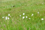 Fanoe_2013_206