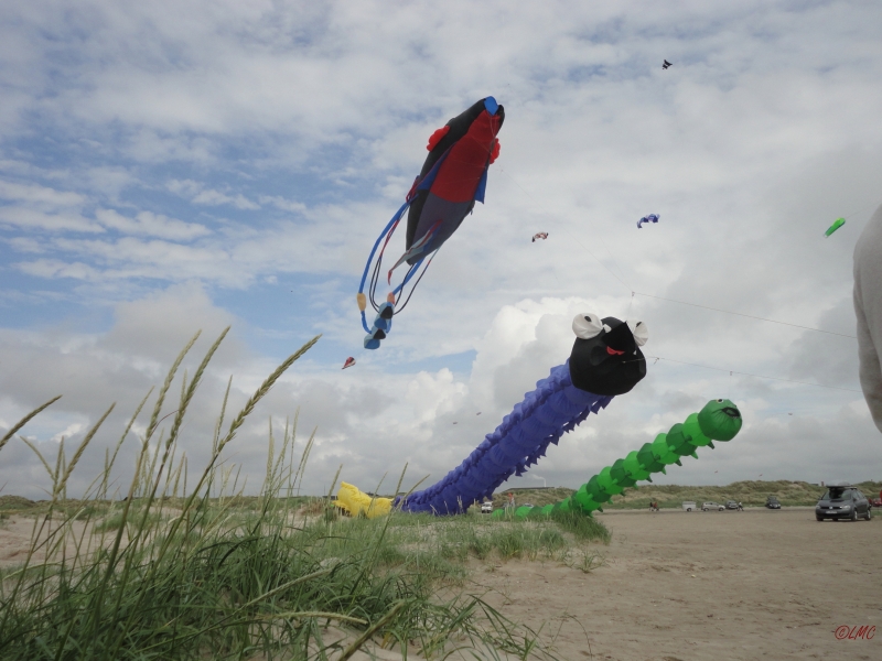 Fanoe_2013_116