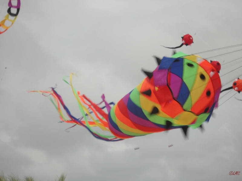 Fanoe_2013_120