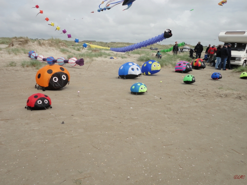 Fanoe_2013_122