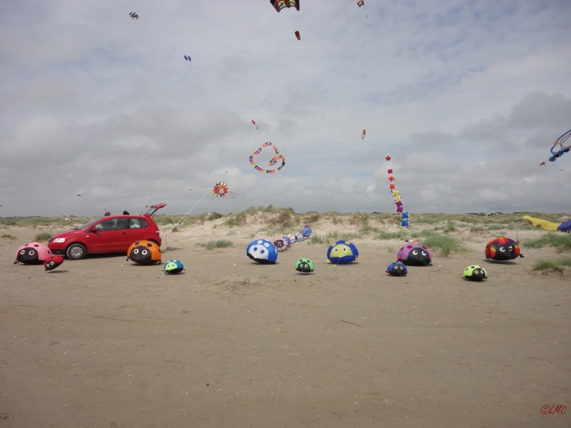 Fanoe_2013_123