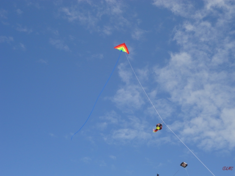 Fanoe_2013_127
