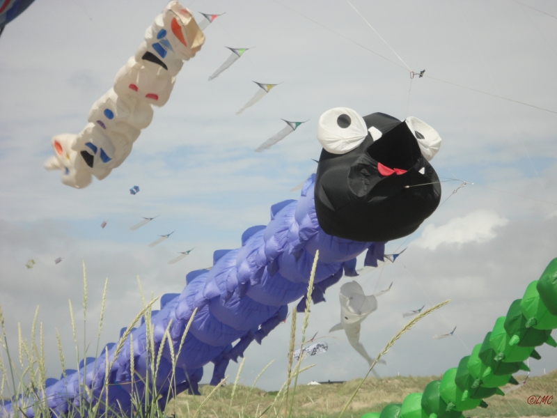 Fanoe_2013_129