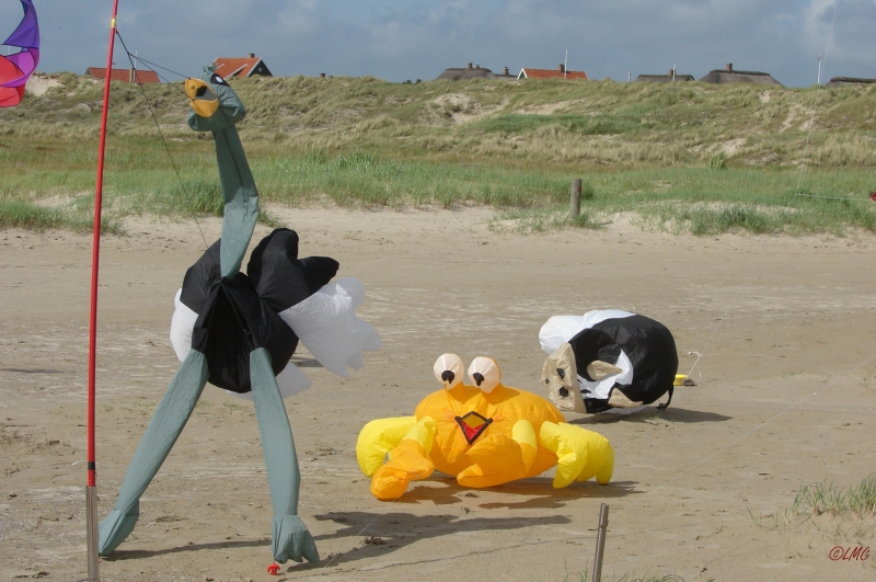 Fanoe_2013_131