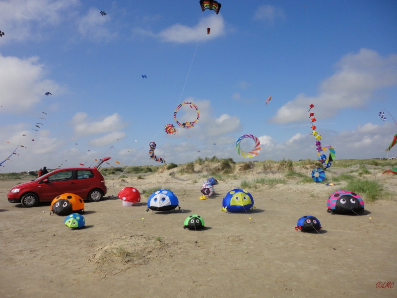 Fanoe_2013_134