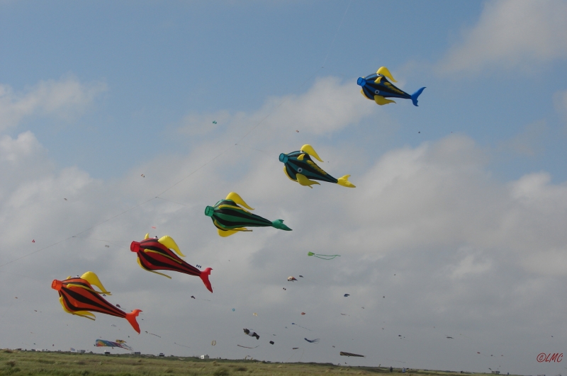 Fanoe_2013_138