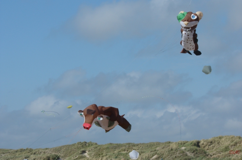 Fanoe_2013_139