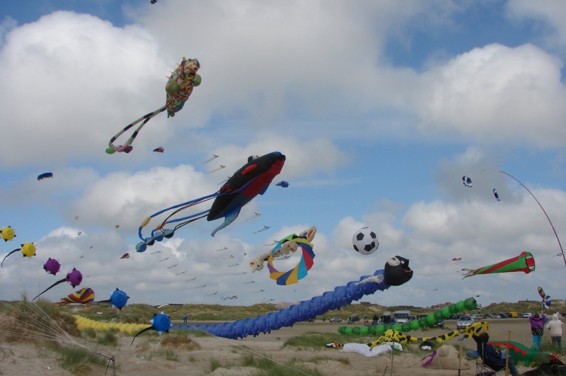 Fanoe_2013_142