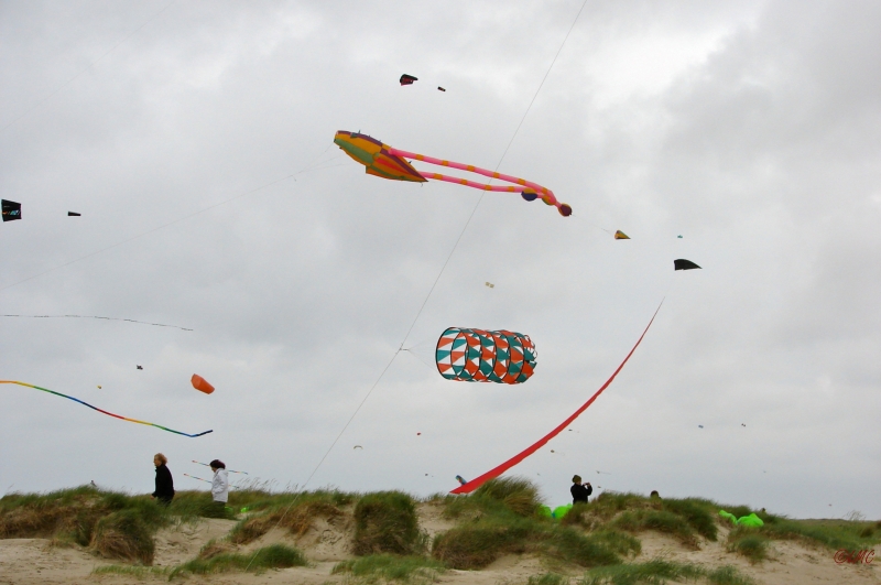 Fanoe_2013_224