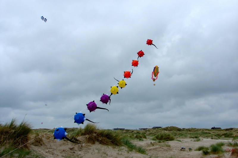 Fanoe_2013_225