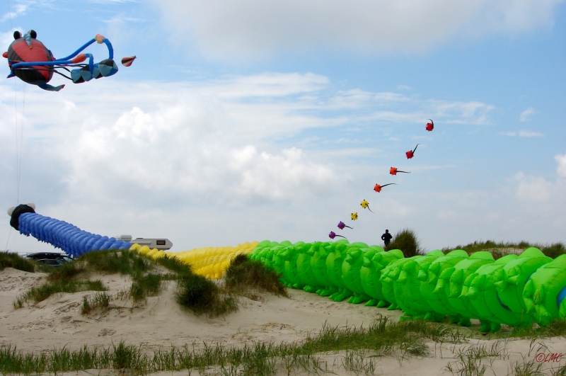 Fanoe_2013_229