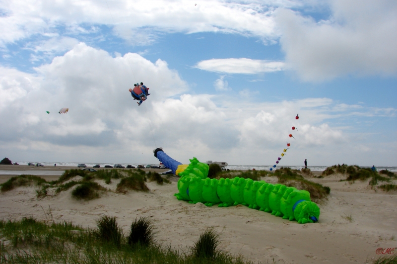 Fanoe_2013_230