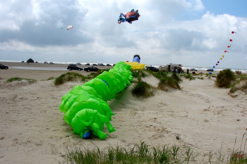 Fanoe_2013_233
