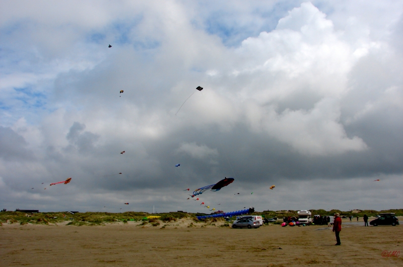 Fanoe_2013_241