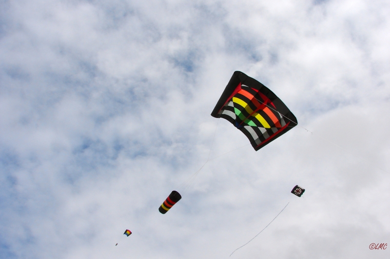 Fanoe_2013_242
