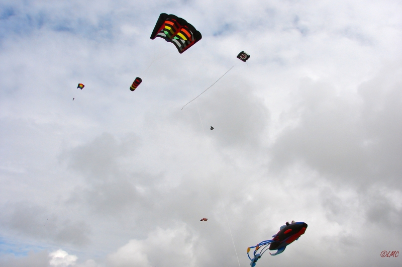Fanoe_2013_244