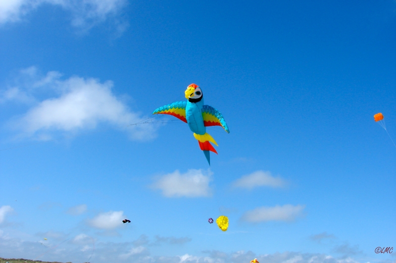 Fanoe_2013_247