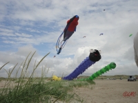 Fanoe_2013_116