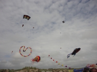 Fanoe_2013_121