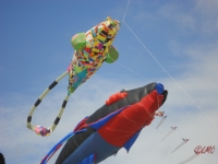Fanoe_2013_128