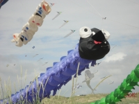 Fanoe_2013_129