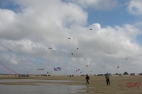 Fanoe_2013_145