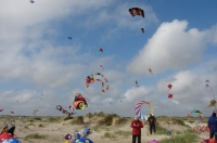 Fanoe_2013_146