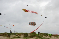 Fanoe_2013_224