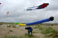 Fanoe_2013_226