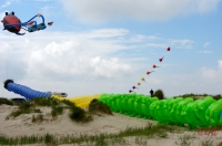 Fanoe_2013_229