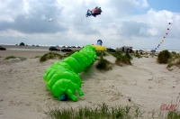 Fanoe_2013_233
