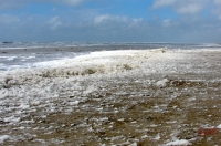 Fanoe_2013_238