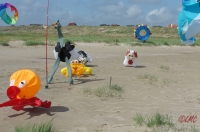 Fanoe_2013_246
