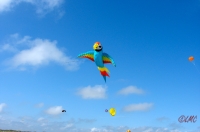 Fanoe_2013_247
