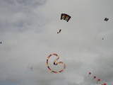 Fanoe_2013_119